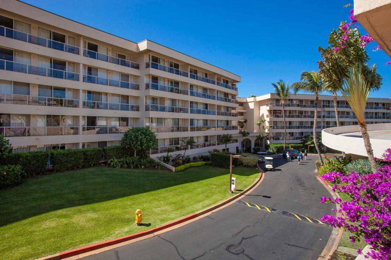 Maui Banyan H311 1Bd 2Ba 3 Min Walk To The Beach In The Heart Of South Kihei! Wailea  Exteriör bild