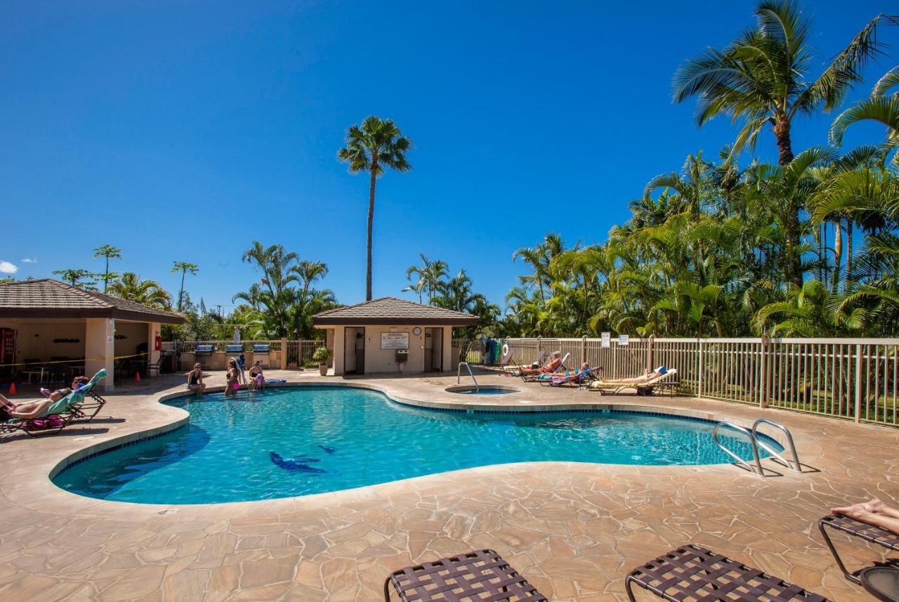 Maui Banyan H311 1Bd 2Ba 3 Min Walk To The Beach In The Heart Of South Kihei! Wailea  Exteriör bild