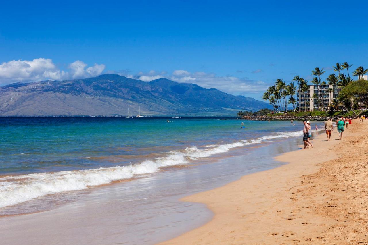 Maui Banyan H311 1Bd 2Ba 3 Min Walk To The Beach In The Heart Of South Kihei! Wailea  Exteriör bild