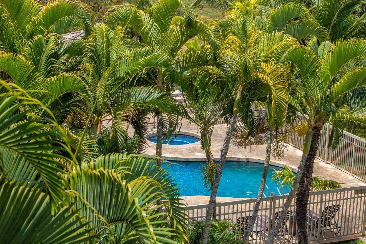 Maui Banyan H311 1Bd 2Ba 3 Min Walk To The Beach In The Heart Of South Kihei! Wailea  Exteriör bild