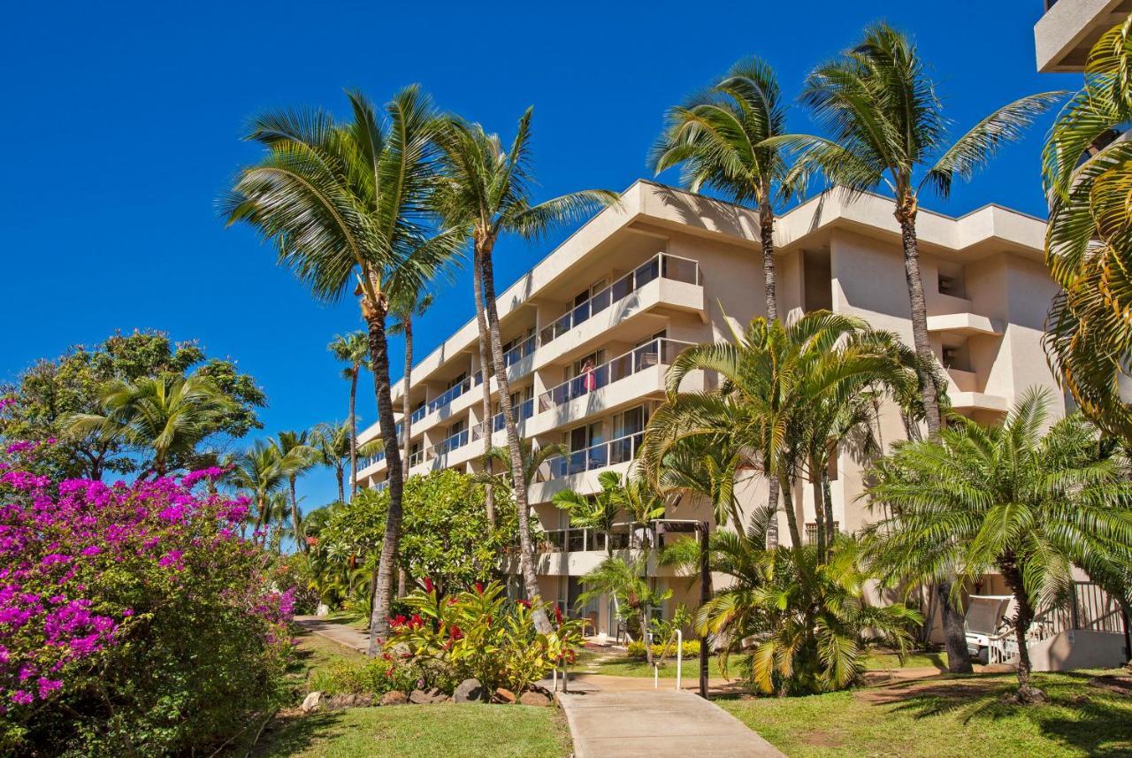 Maui Banyan H311 1Bd 2Ba 3 Min Walk To The Beach In The Heart Of South Kihei! Wailea  Exteriör bild